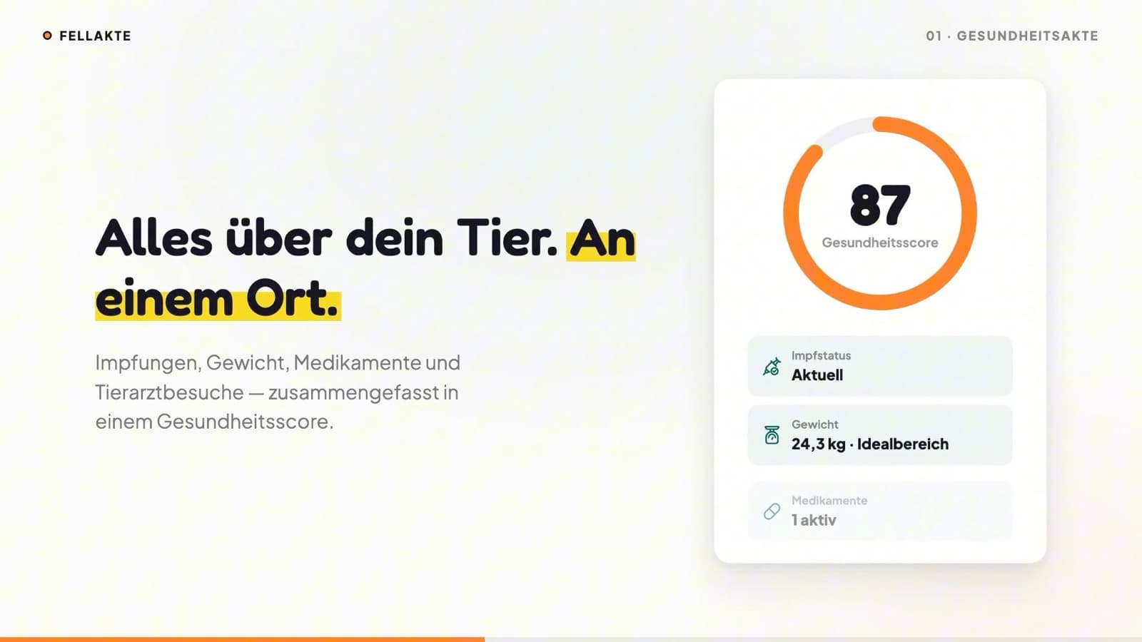 Vorschaubild des FellAkte Videos: Gesundheitsscore, Impfstatus und Gewicht auf einen Blick