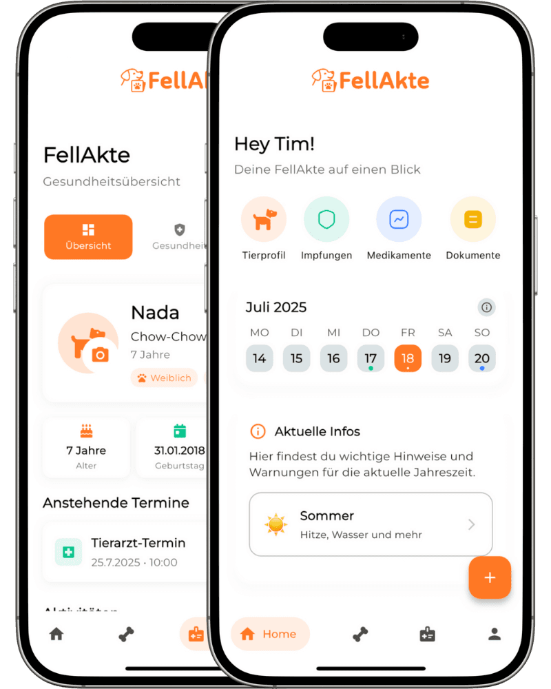 FellAkte App Mockup