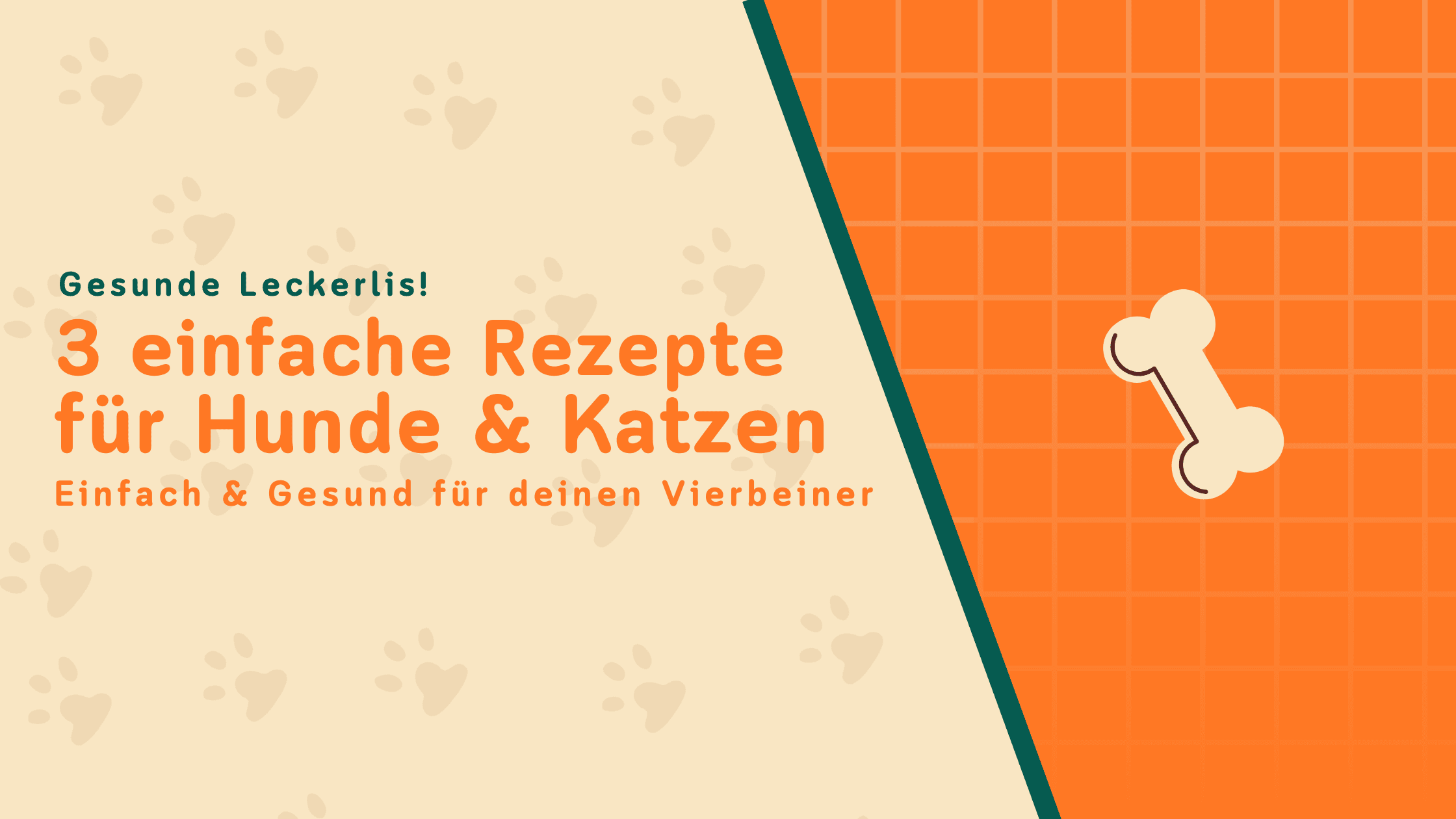 Gesunde Leckerlis selber machen – 3 einfache Rezepte für Hund & Katze