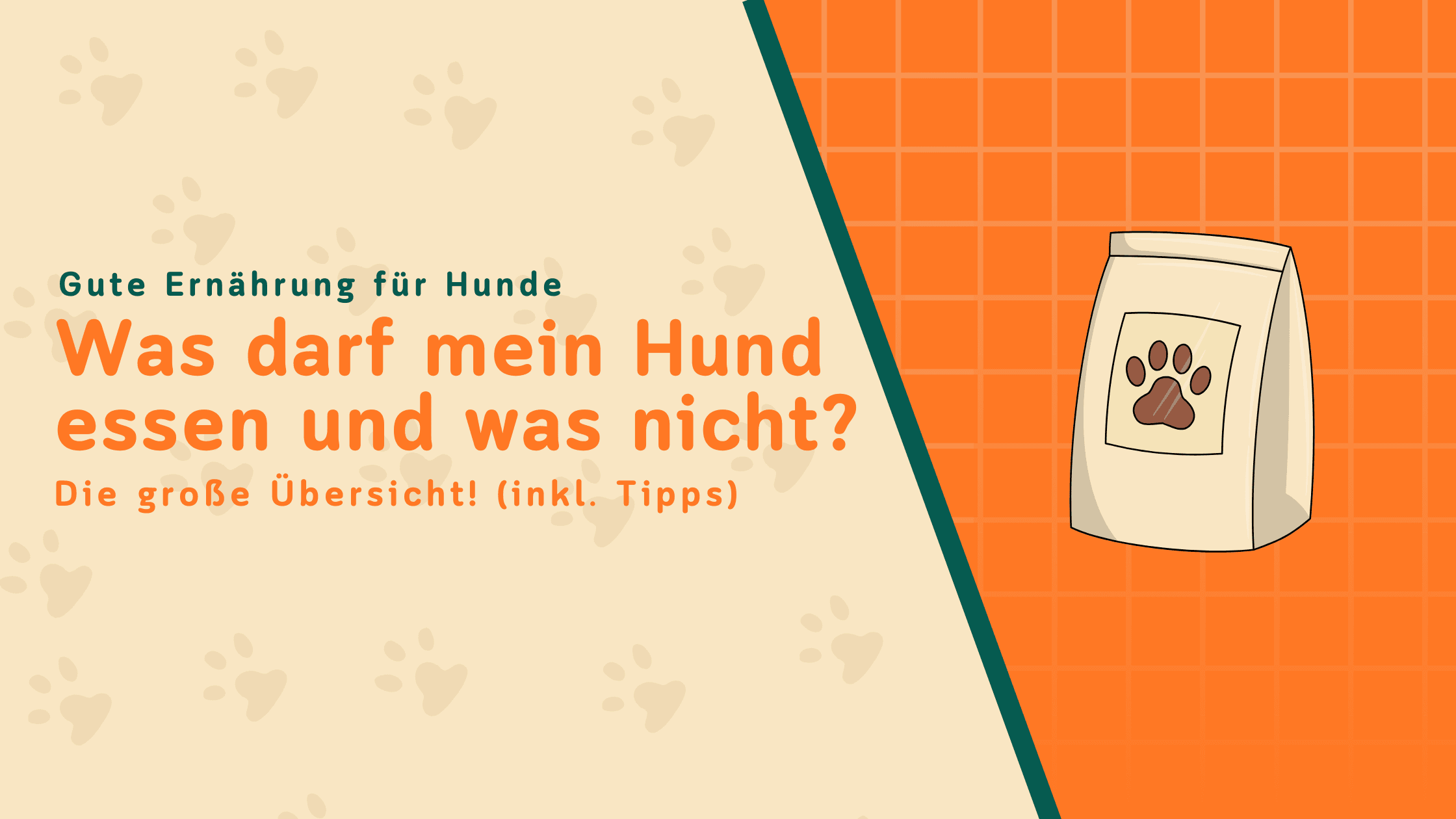 Was dürfen Hunde essen – und was nicht? Die große Übersicht
