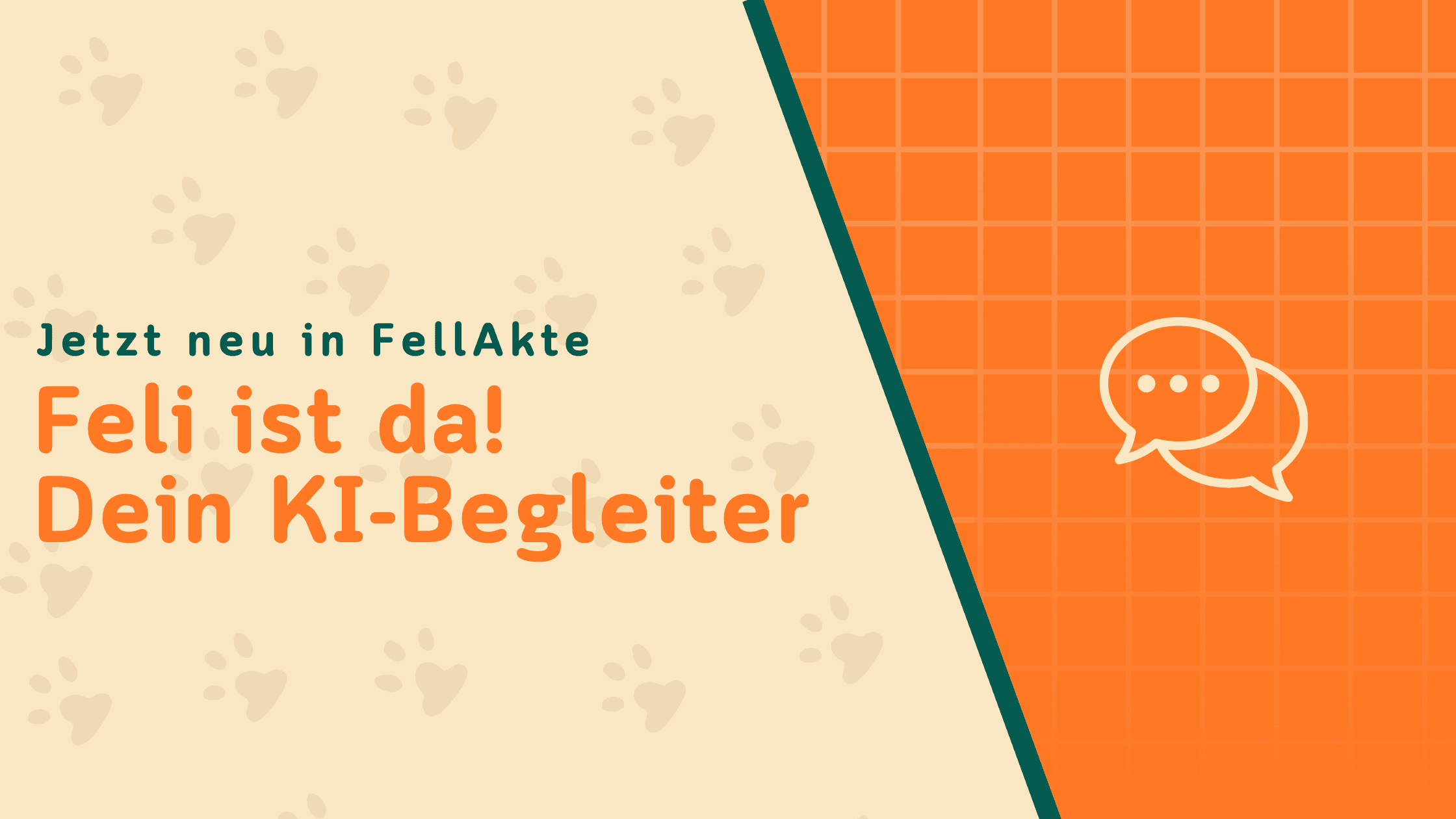 Feli ist da: Dein persönlicher KI-Begleiter in der App