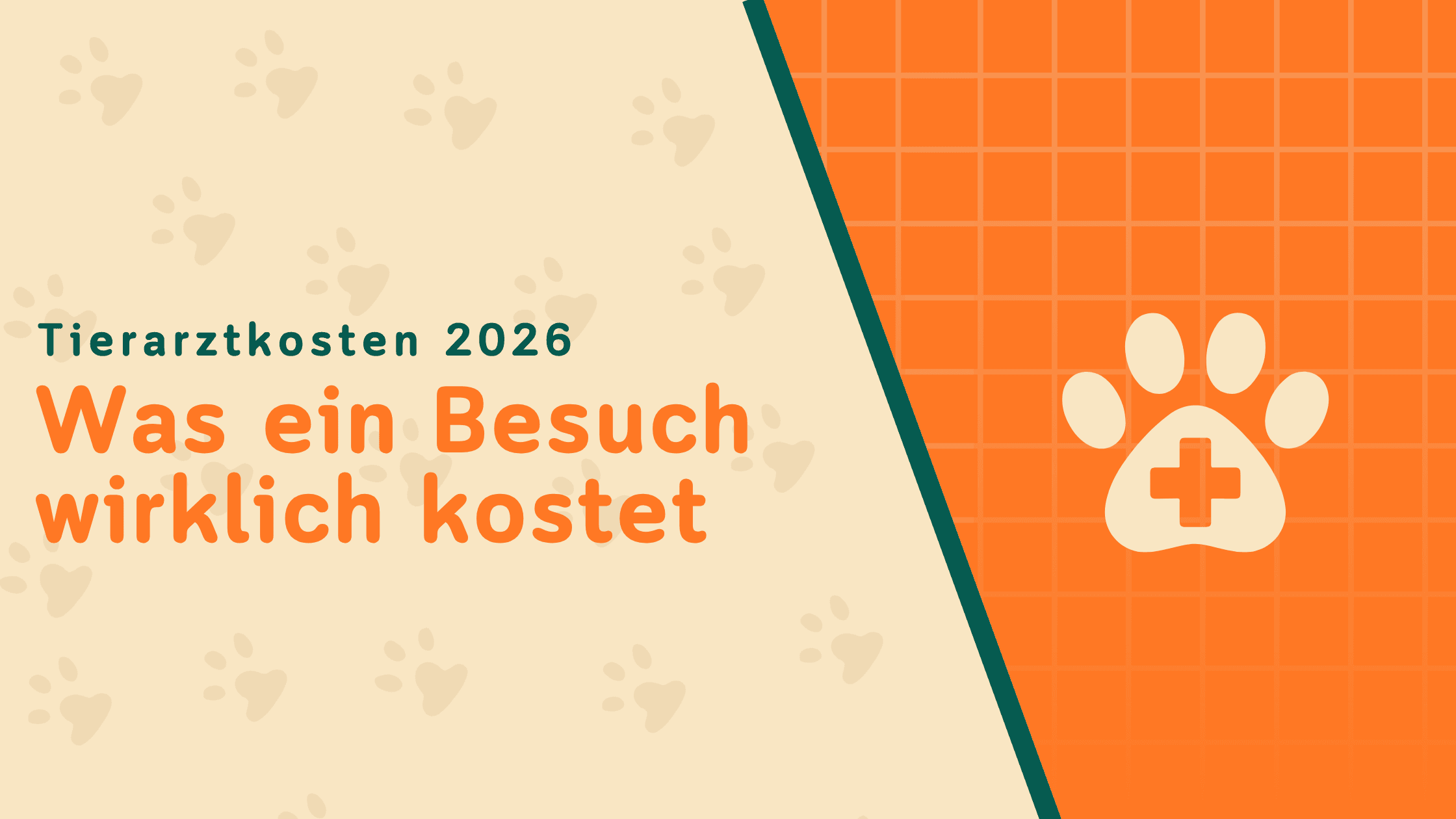 Tierarztkosten 2026: Was ein Besuch wirklich kostet
