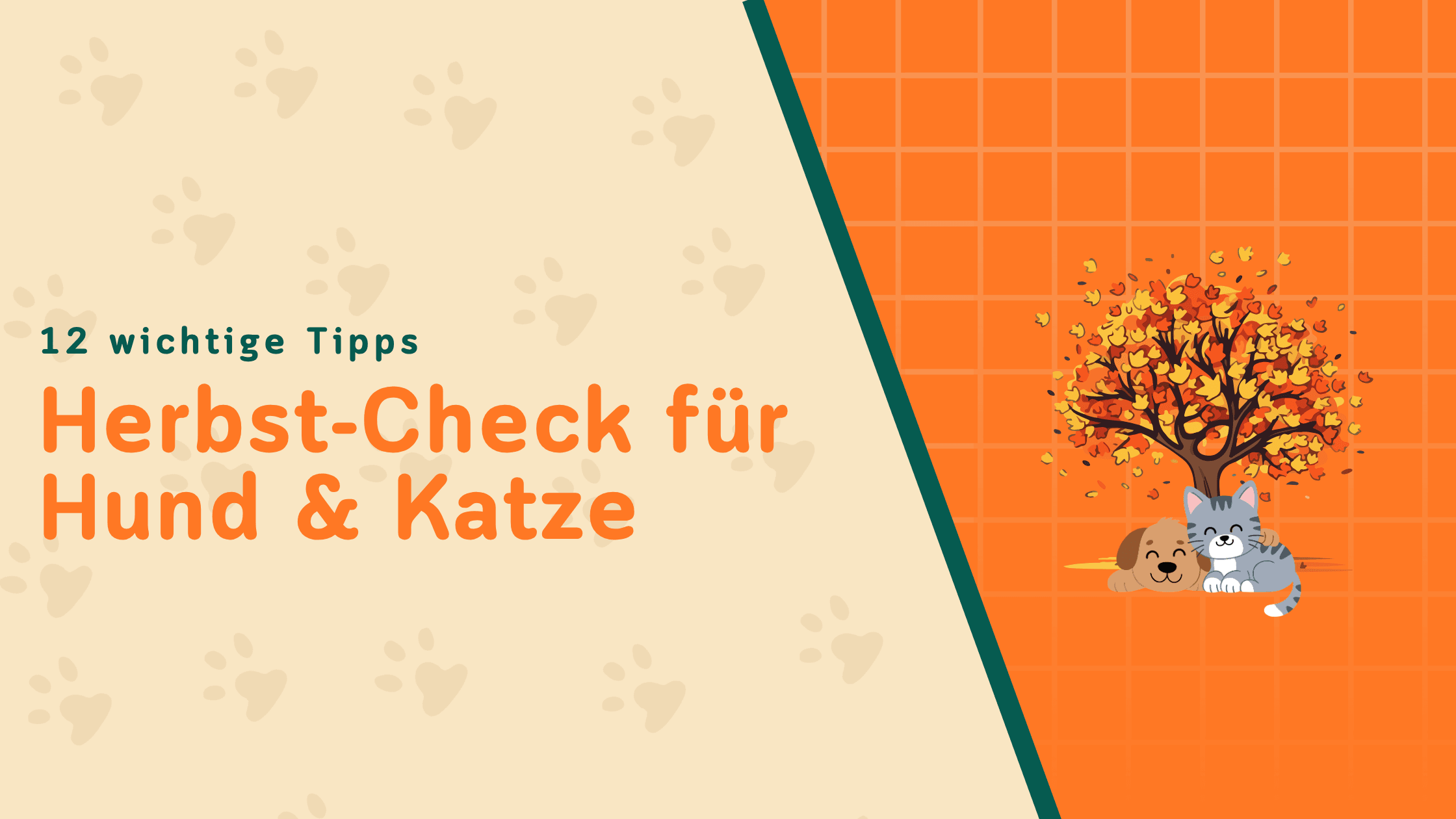 Herbst-Check für Hund & Katze: Diese 12 Dinge solltest du jetzt erledigen