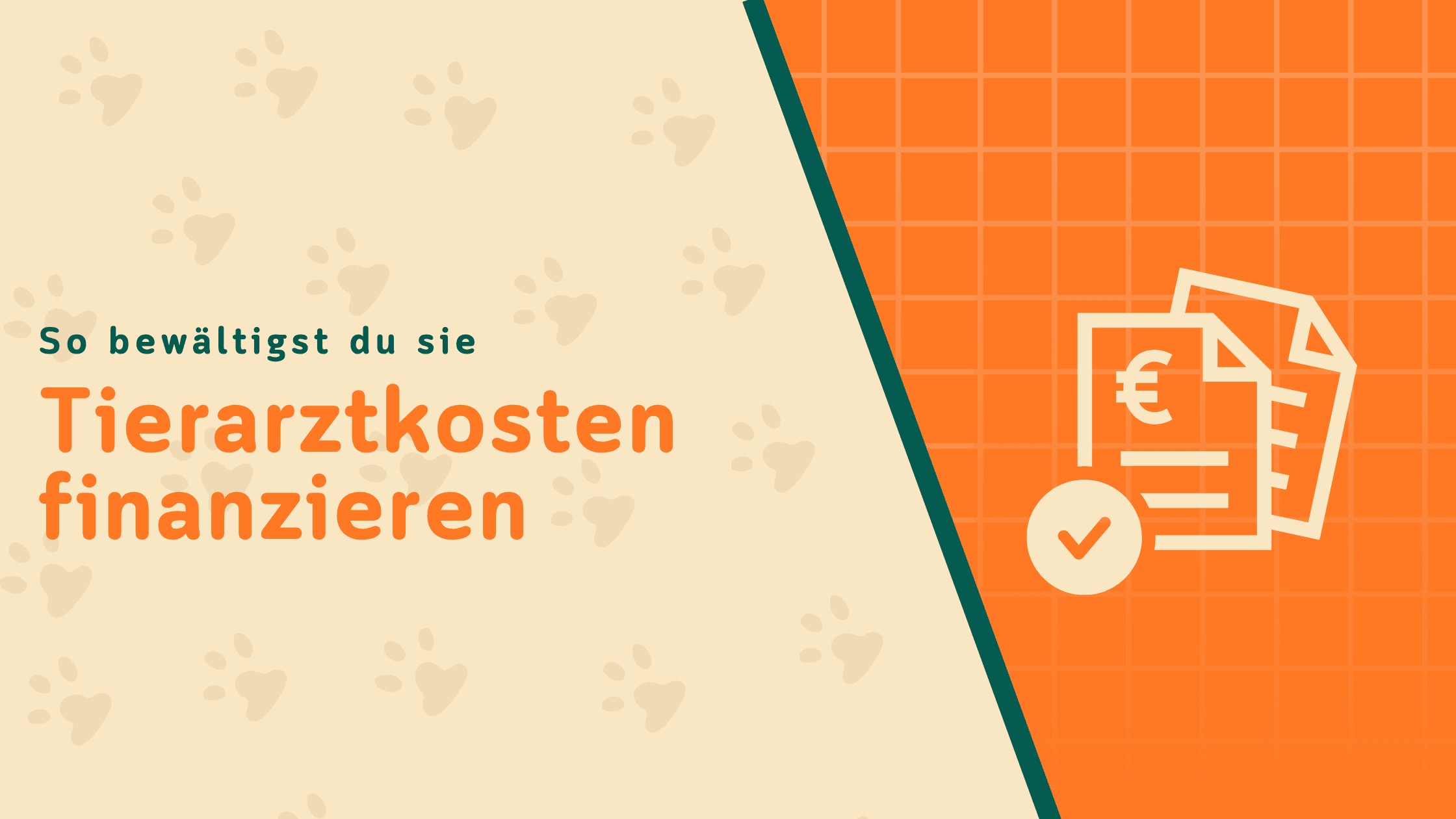 Tierarztkosten finanzieren: So kannst du hohe Tierarztkosten bewältigen