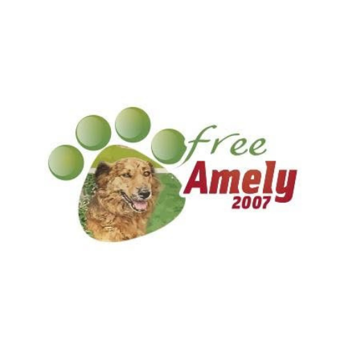 Free Amely NGO