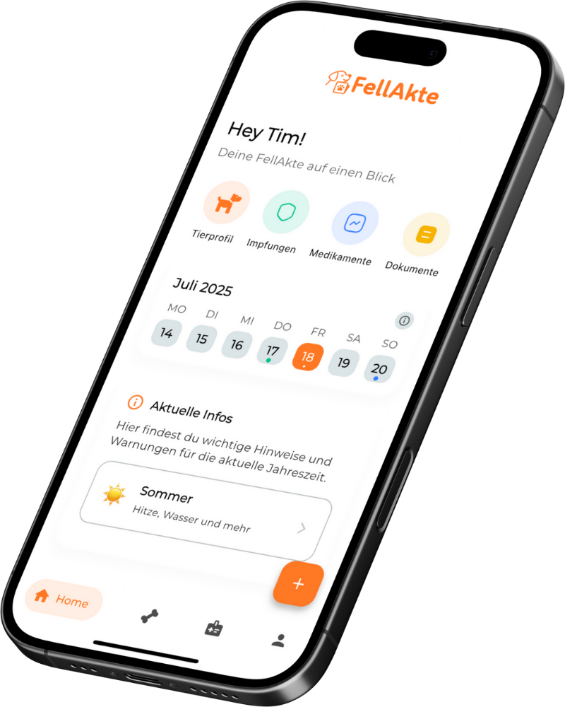 App Mockup Rechts