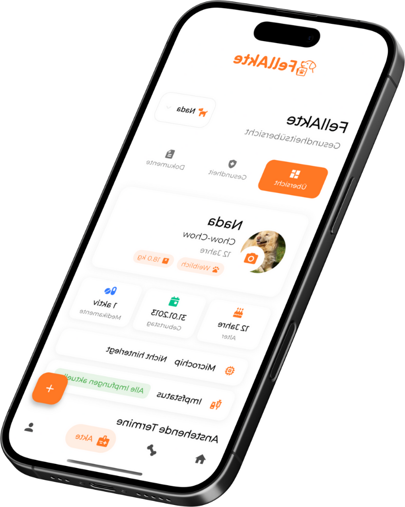 App Mockup Links